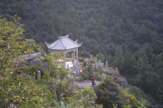 深藏密林中 摄影 雨夜孤雁