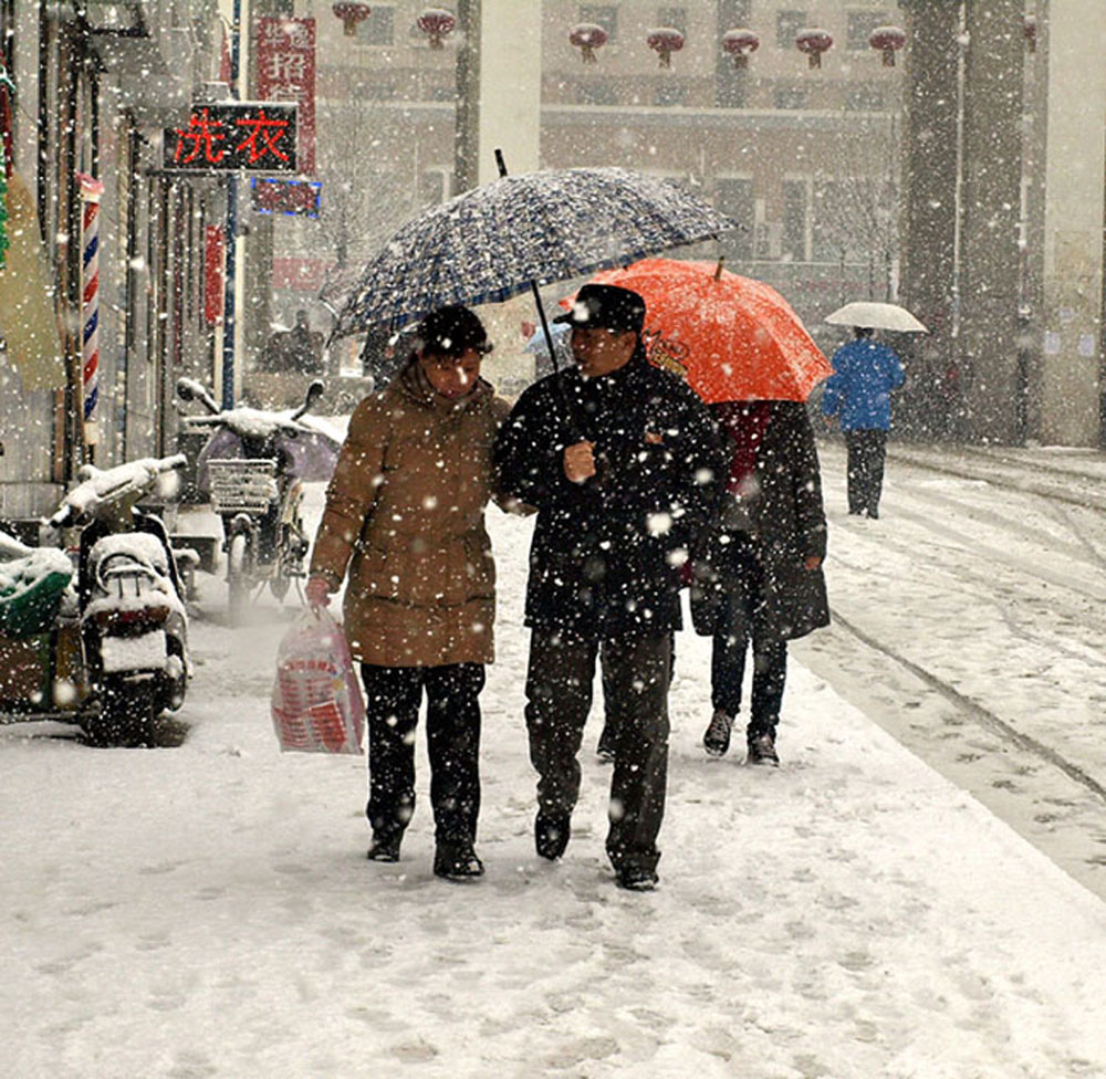 雪中行 摄影 泉城古月