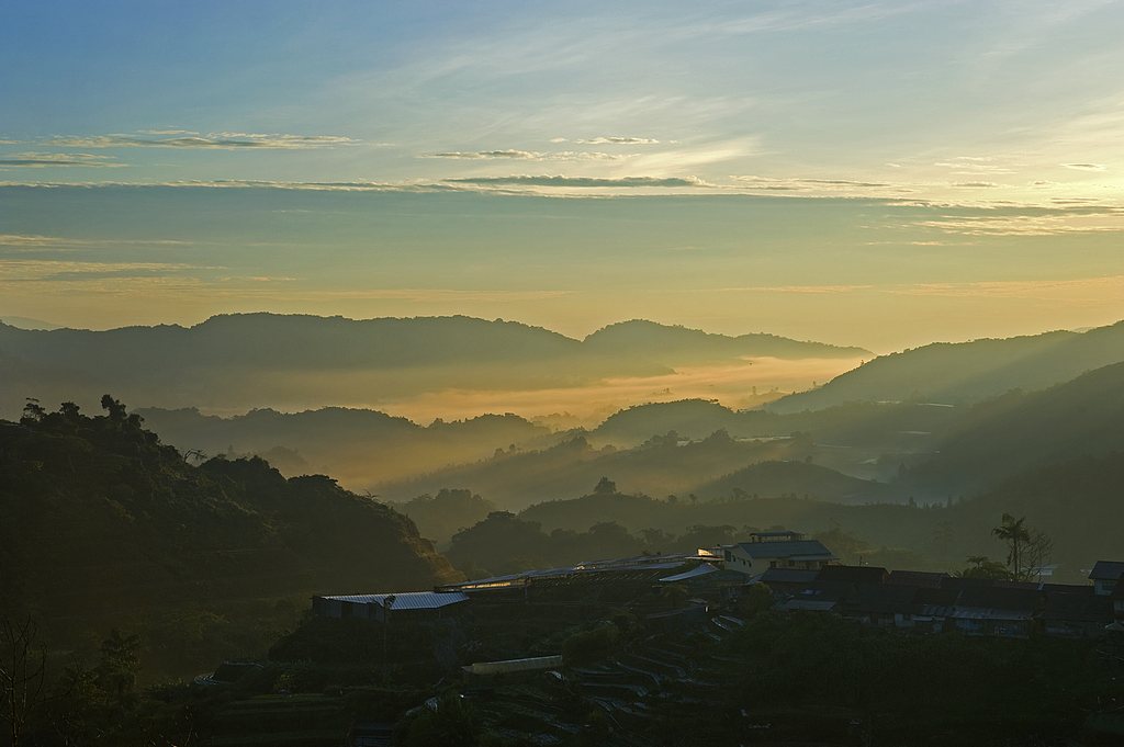 Cameron Highland 摄影 chookia