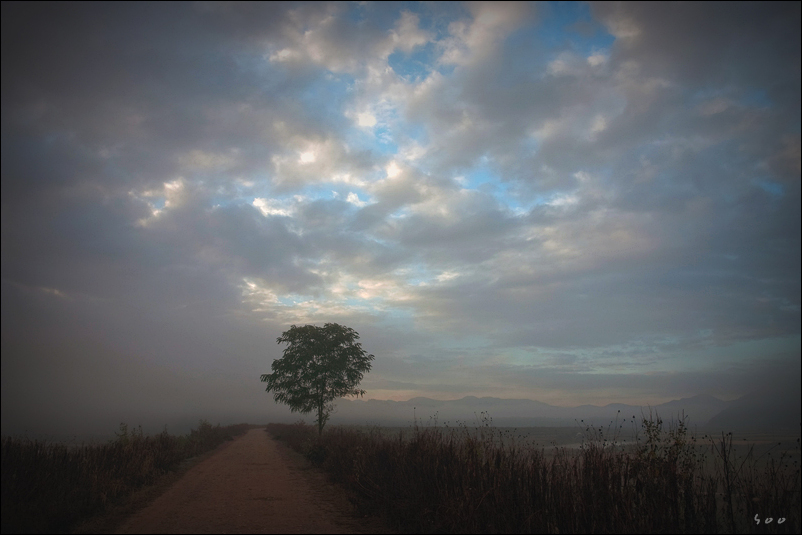 The road 摄影 辛宗秀