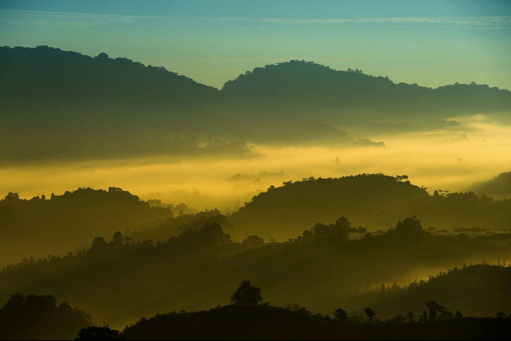 Cameron Highland # 1 摄影 chookia