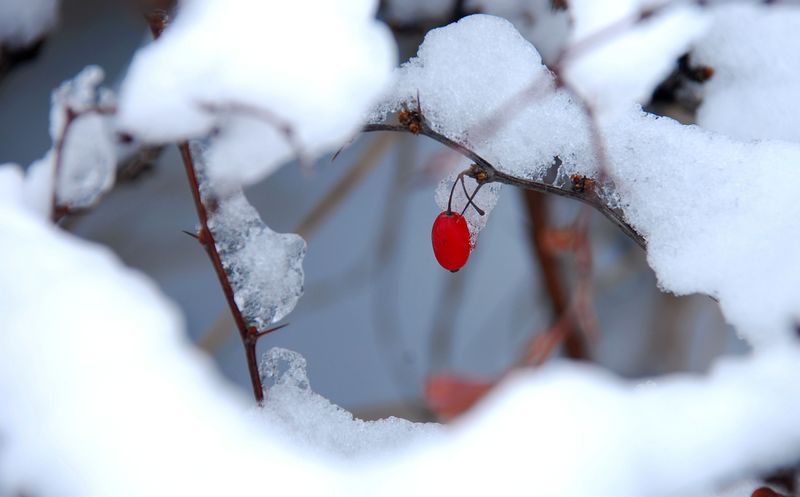 雪后一点 摄影 另类看人生