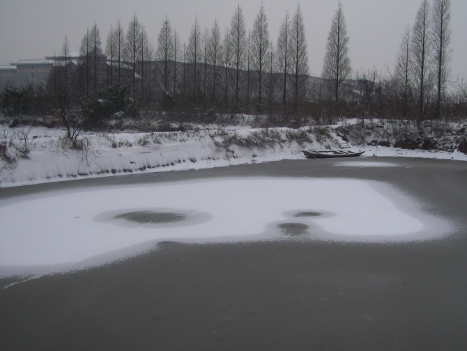 野渡无人舟自横 摄影 檐前雨