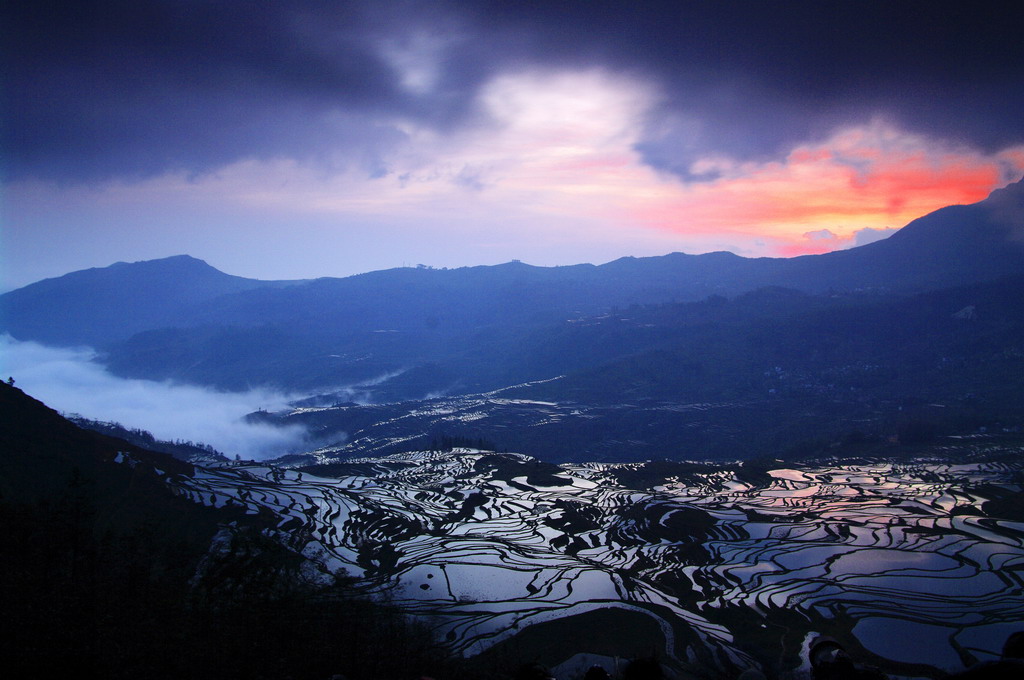 天镜 摄影 春山树兰