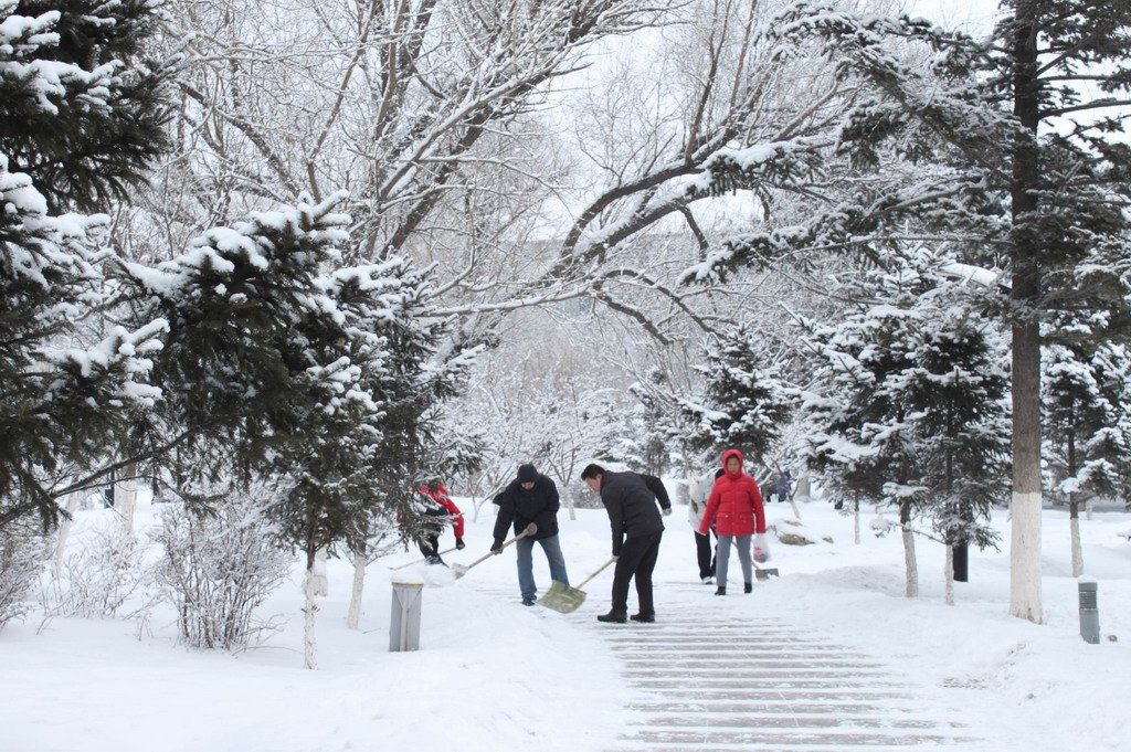 大雪过后 摄影 付炳权