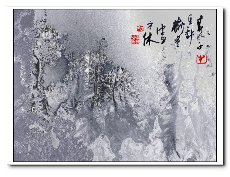 冰窗花画(风景  中国画类) 摄影 大谦