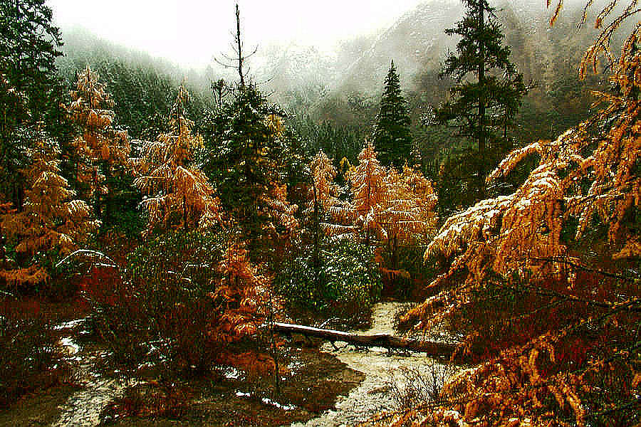 雪虐风饕愈凛然 摄影 彩蝶恋花