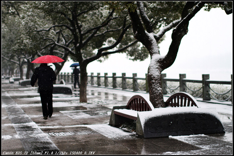 雪中景 摄影 武文ABC