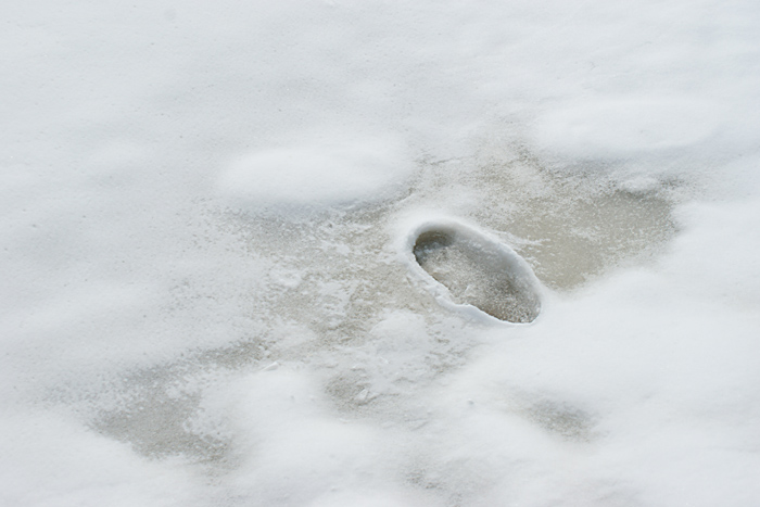 雪后的雪 摄影 小工