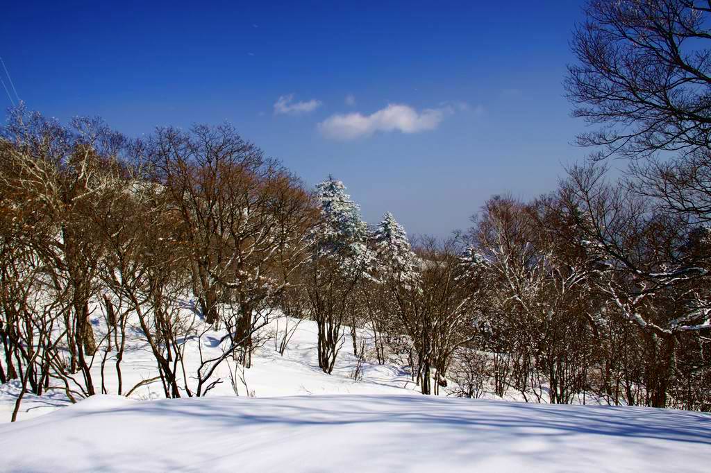 雪后天晴 摄影 星湖