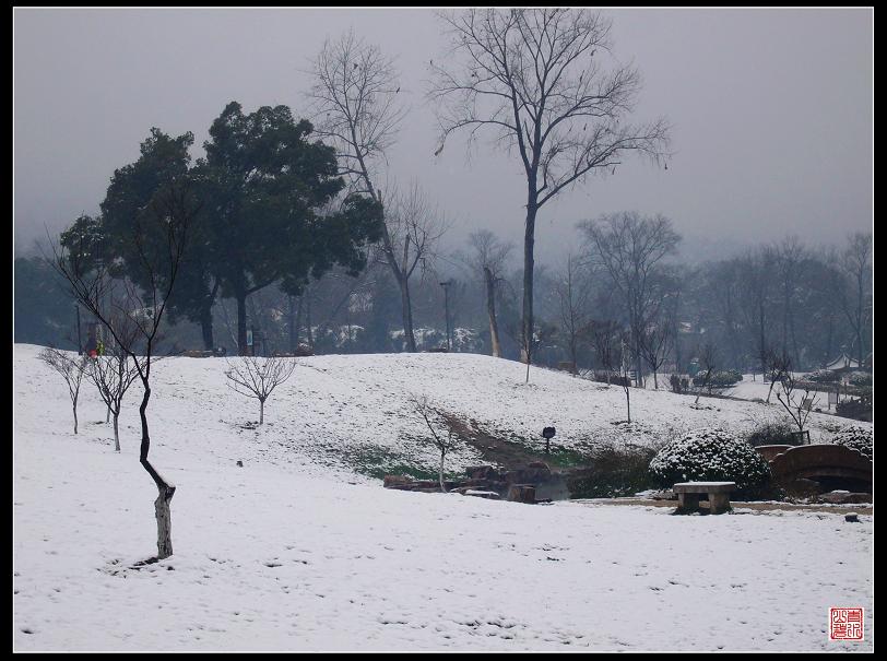 寒林积雪 摄影 青山碧水