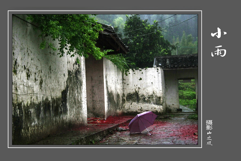 小雨 摄影 山之风