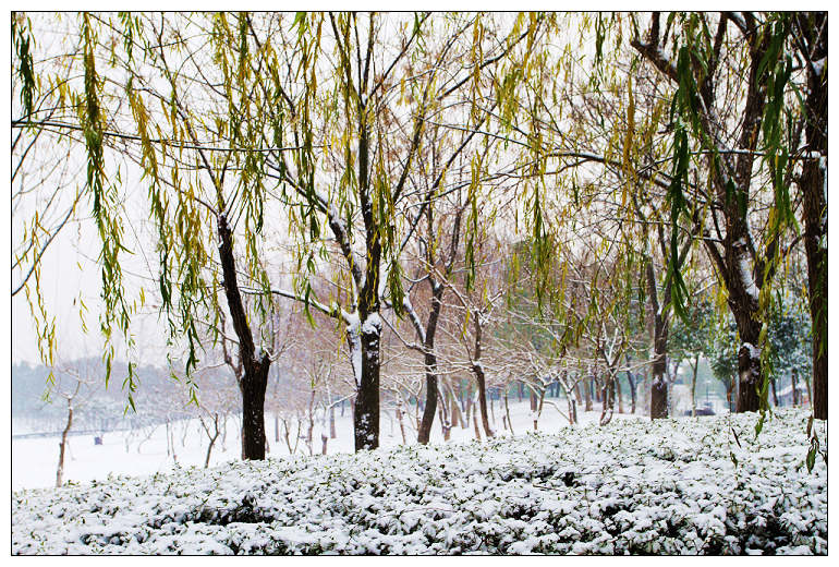 江南雪 摄影 武文ABC