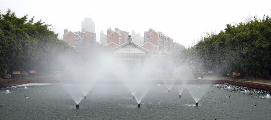 水景 摄影 鴻雁