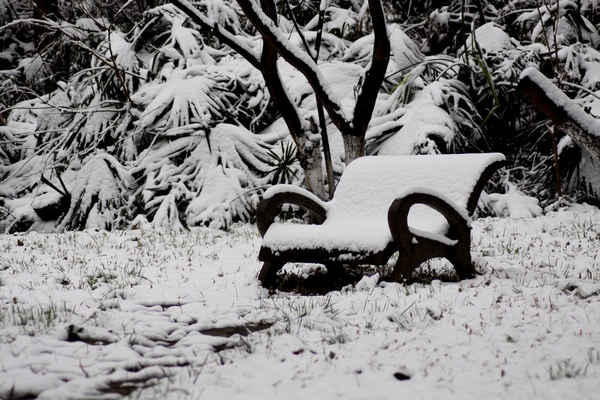 春雪 摄影 xibeilin