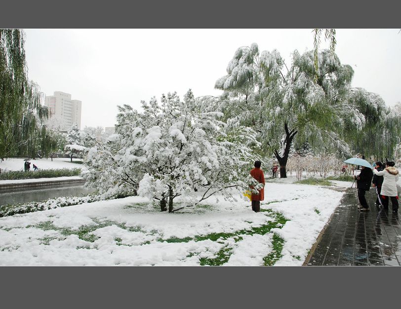 北京又下雪了 摄影 花皮蛇