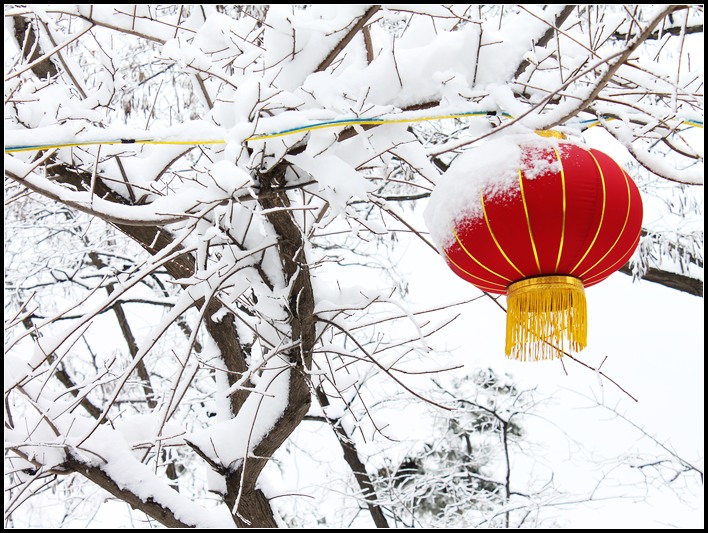 正月十五雪打灯 摄影 chengfeng