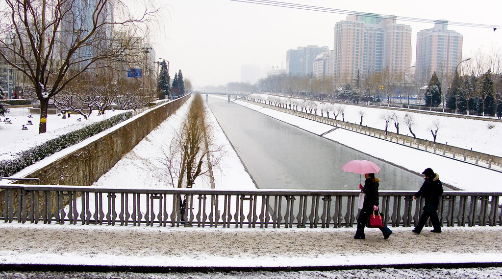 初春瑞雪 摄影 岩影