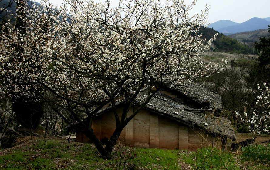 山里人家 摄影 上虞鲁班