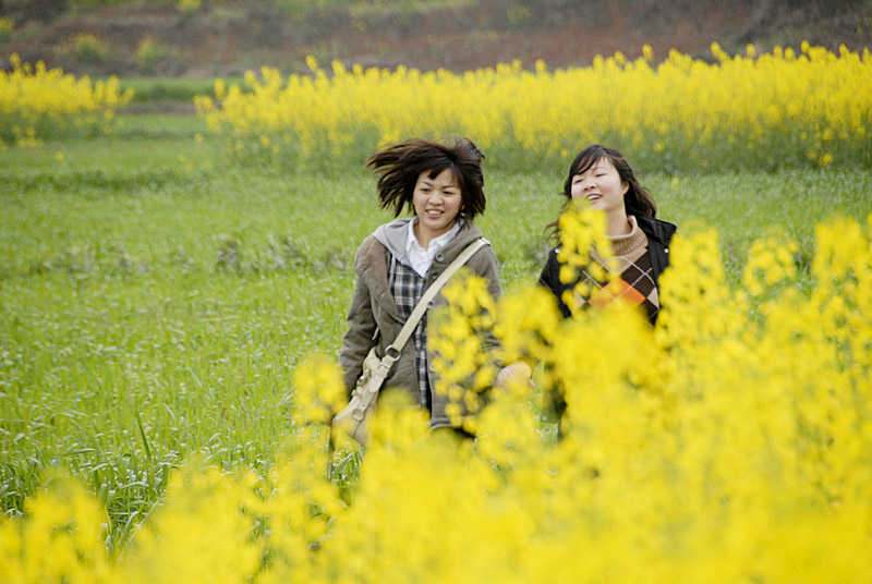 菜花地里青春飞扬 摄影 阳光客