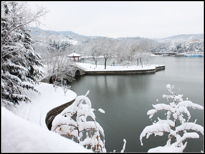 冬雪 摄影 chengfeng