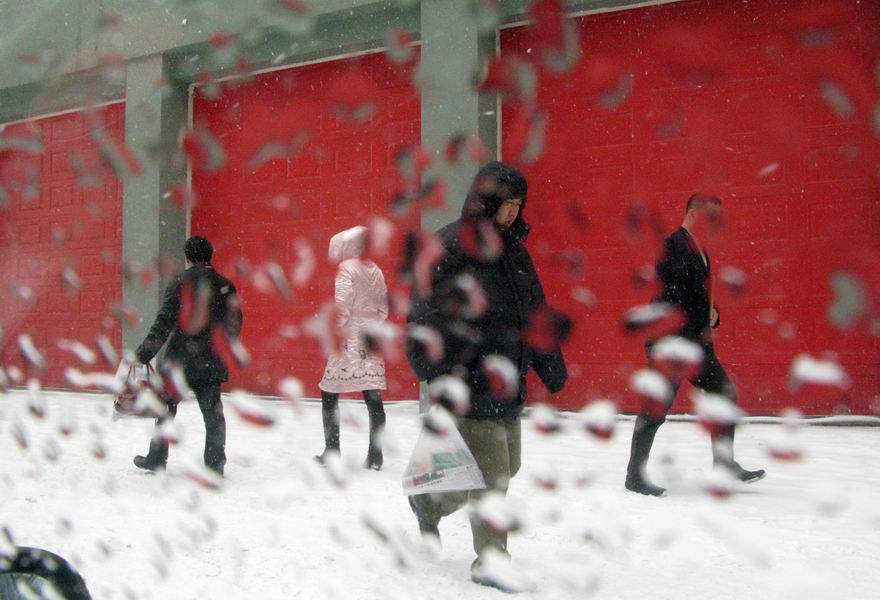 包头3月飘雪 摄影 叶飞