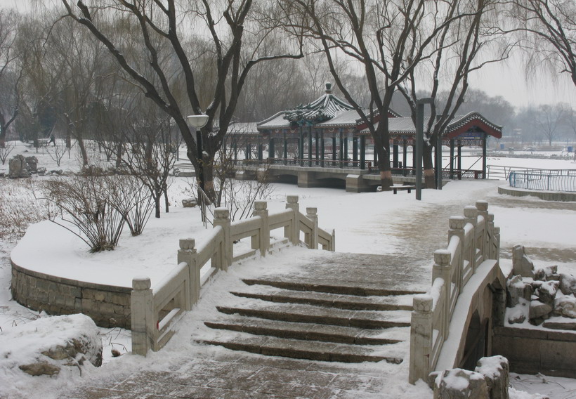 雪景 摄影 菜市口看客