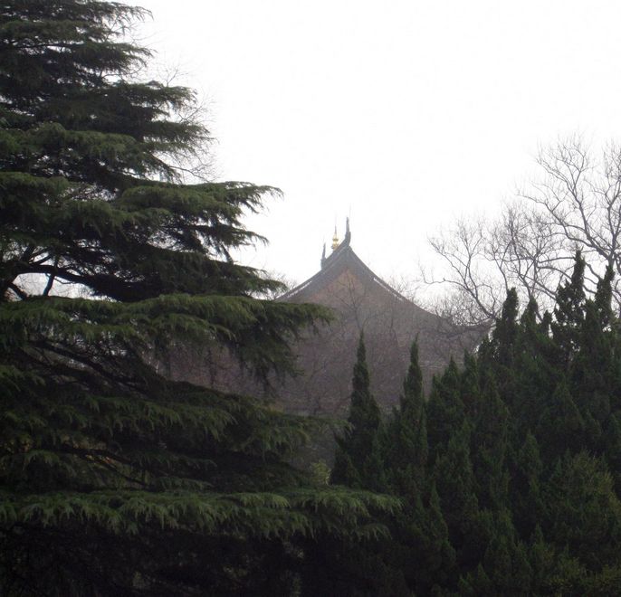 远眺·龙华古寺 摄影 鴻雁