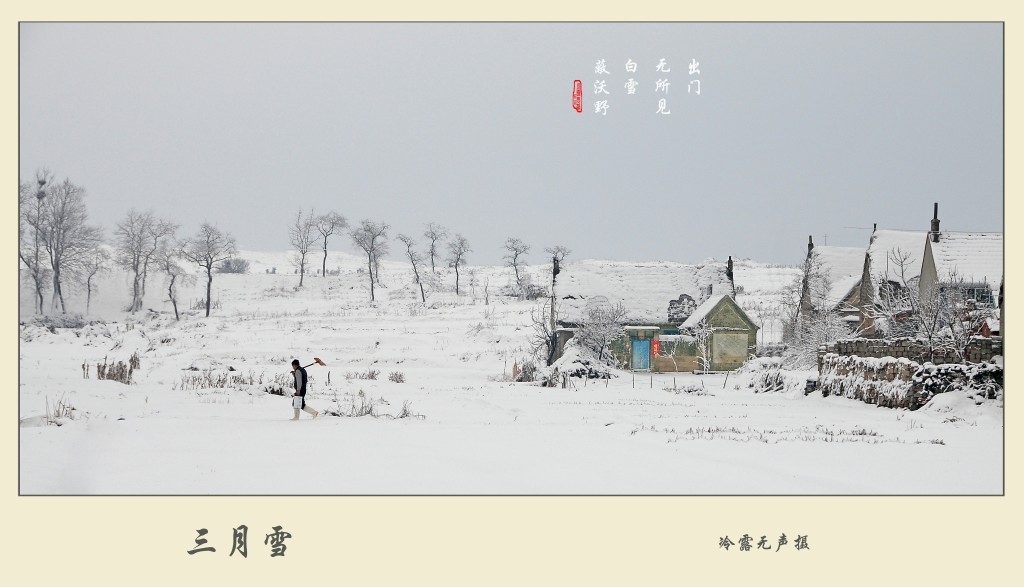 三月雪     二 摄影 冷露无声