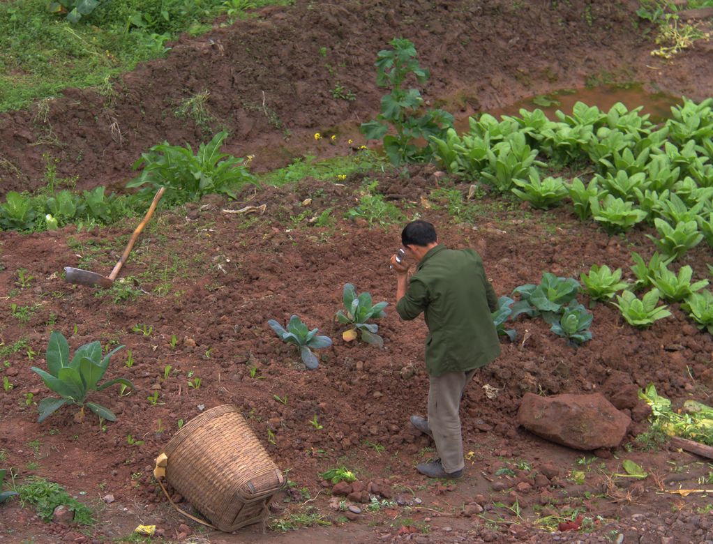 菜农 摄影 很平常