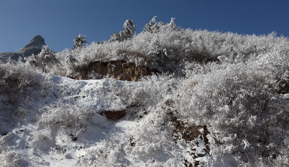 秦岭之雪景 摄影 乐言者