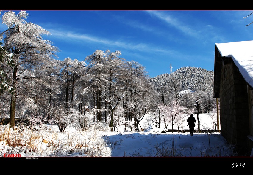 南国风雪 摄影 北边