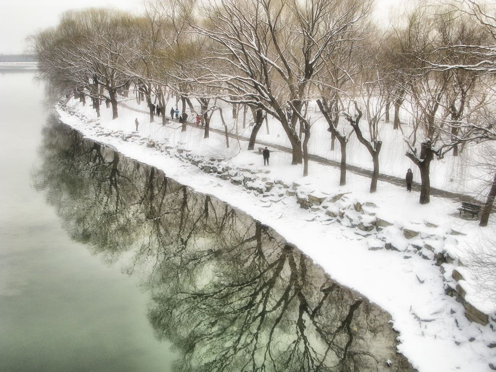 三月春雪漫西堤 摄影 一片静水