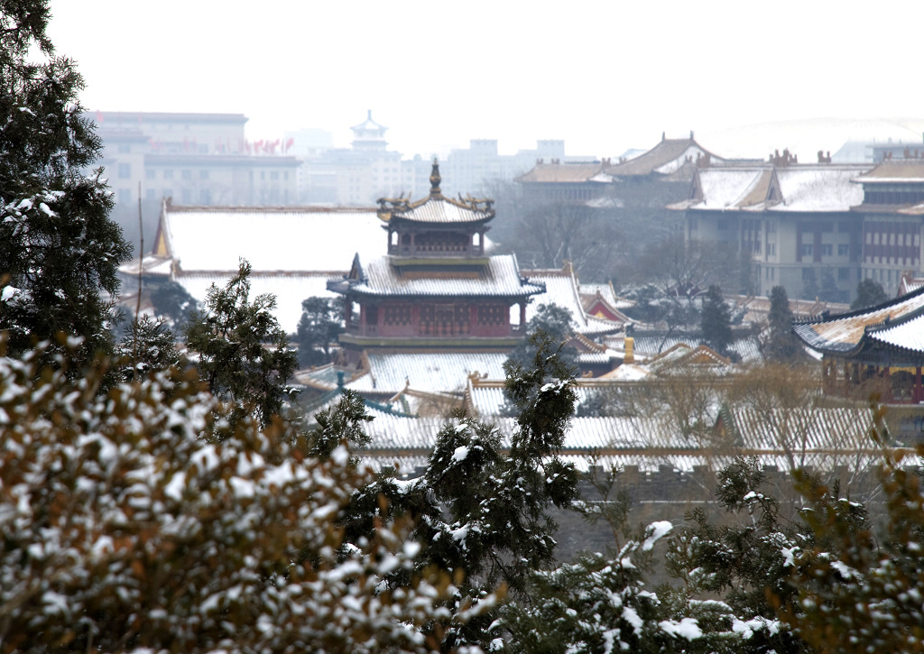 紫禁雪景 摄影 蘭卉