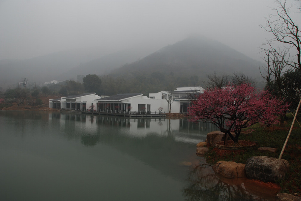 烟雨梅轩 摄影 懒惰人