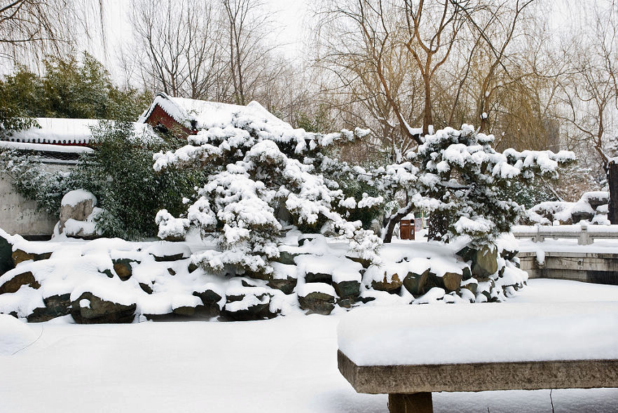 大观园雪景 摄影 相逢是歌