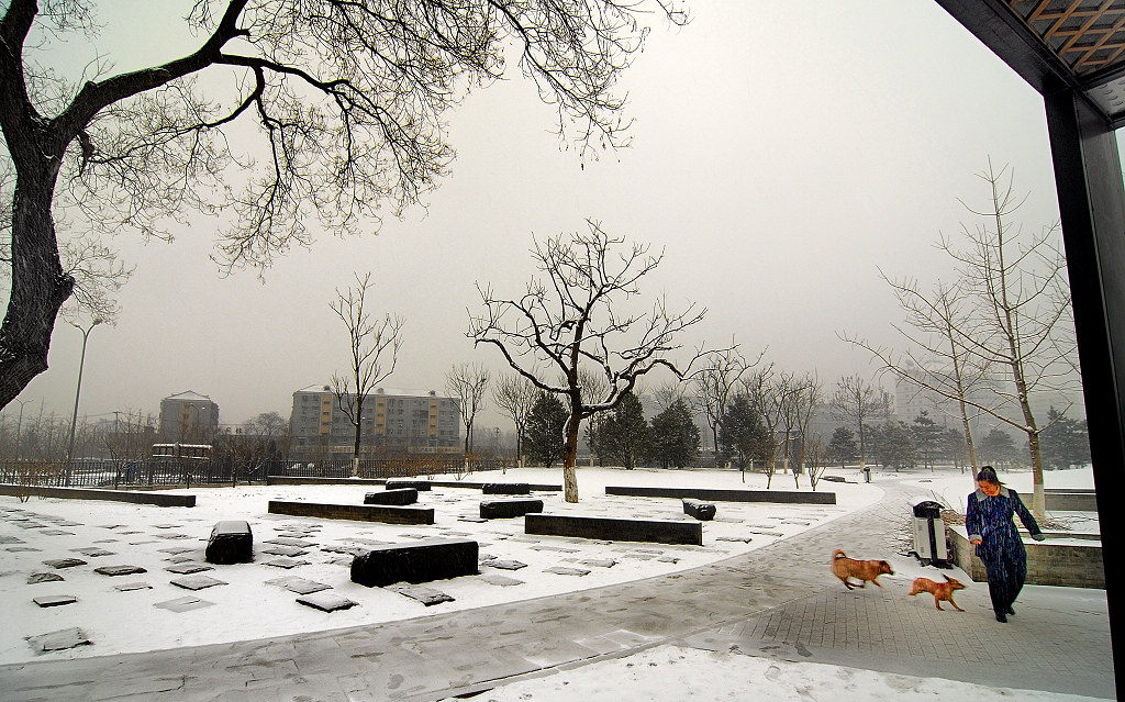 今 天 雪 景 摄影 ZUZI