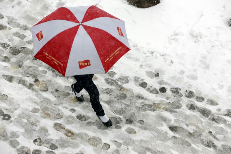 雪中行 摄影 黑苹果58796