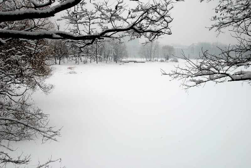 春雪 摄影 融秋