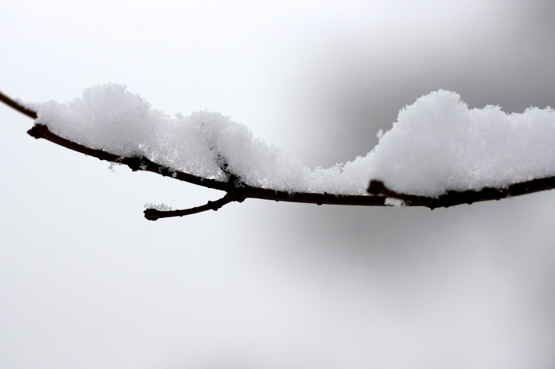 三月雪 摄影 老山石