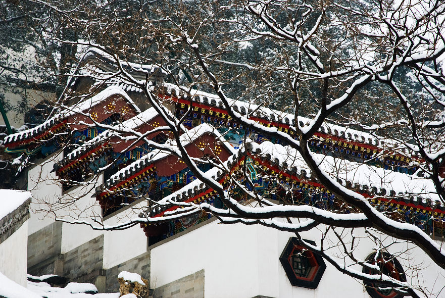 北海雪景 摄影 相逢是歌