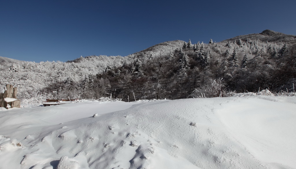 秦岭之雪 摄影 乐言者