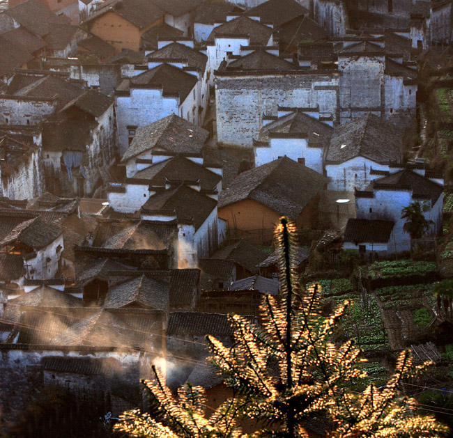 山村 摄影 红桦