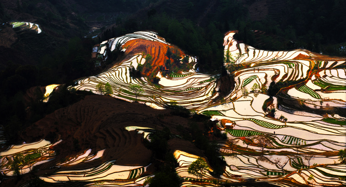 五色马 摄影 原野上观