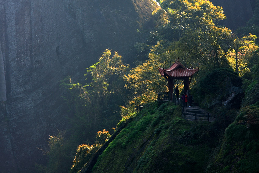 春意武夷4 摄影 老过