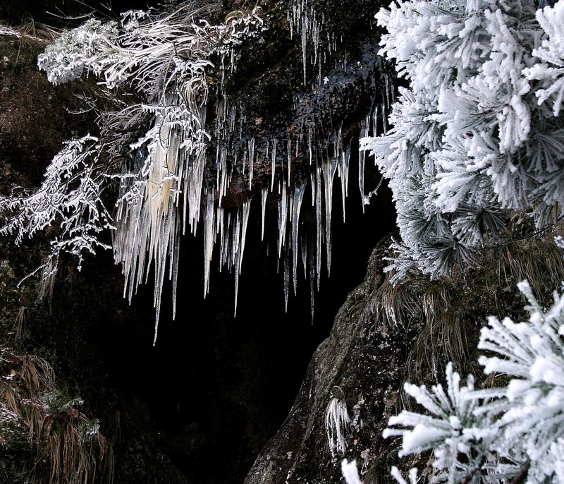 冰雪 摄影 自奋蹄