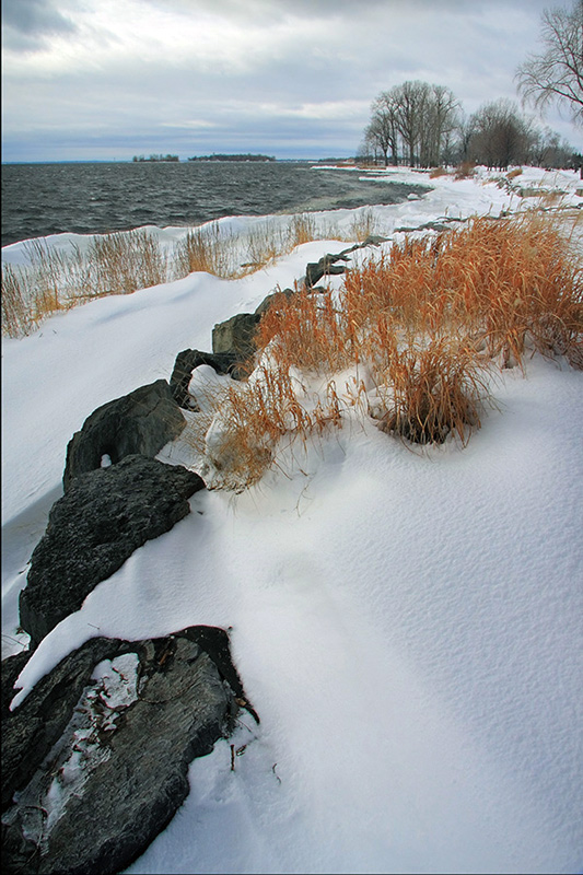 寒江雪 摄影 老童生