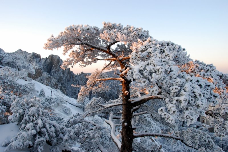 黃山雪景 摄影 难得胡涂