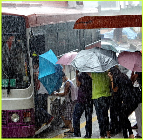 大雨天 摄影 mengkudu