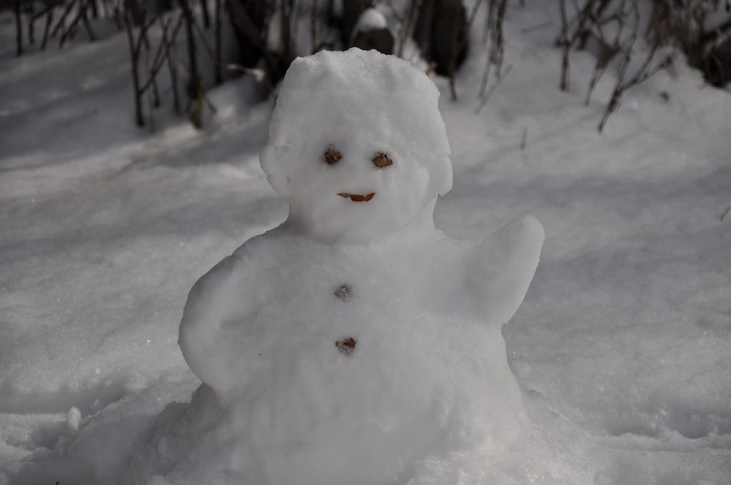 雪人 摄影 一世缘